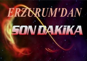 Pasinler'de FETÖ/PDY soruşturması: 15 gözaltı